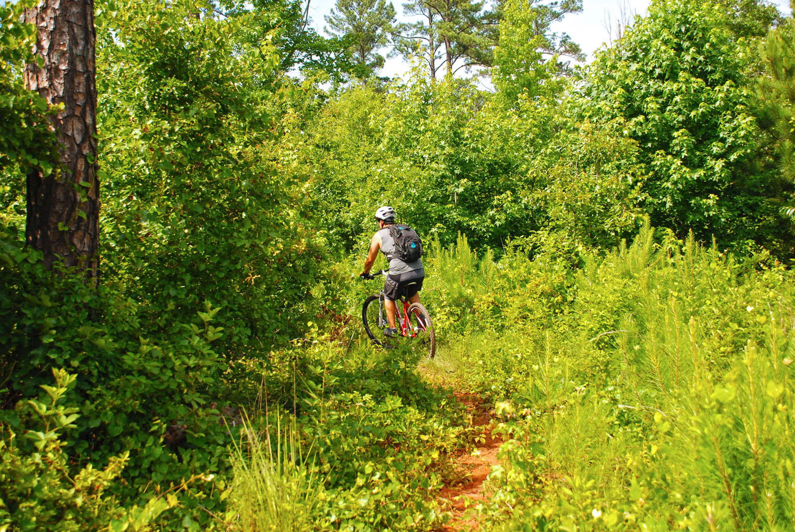 Hard Labor Creek State Park Lake Country