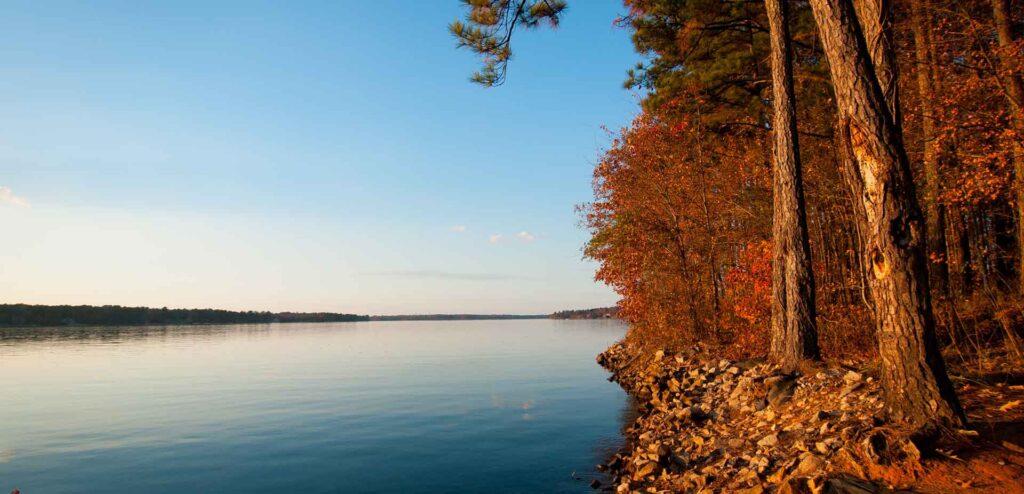 "Autumn foliage on the banks of Lake Sinclair."